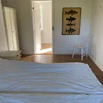 Ellemose Lemvig
